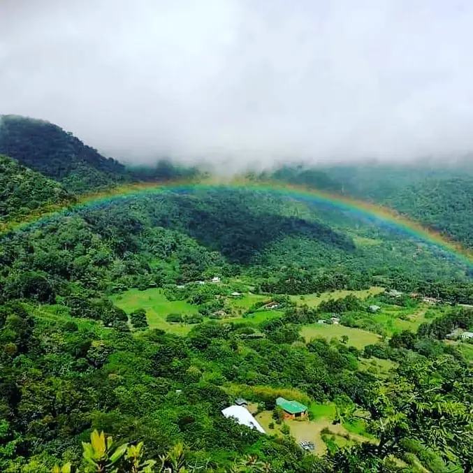 an aerial picture of Monteverde Costa Rica