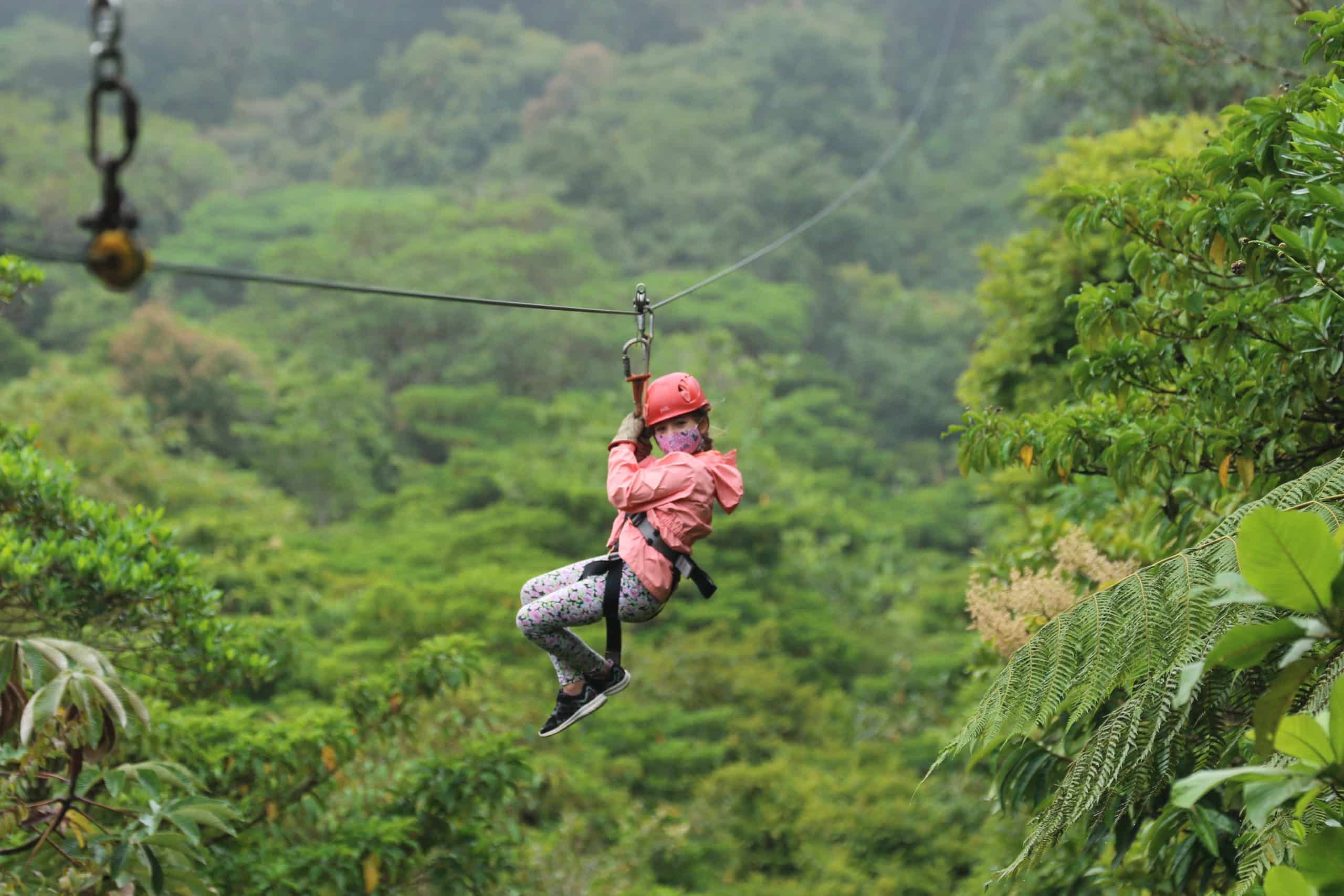 a person riding a horse in a forest