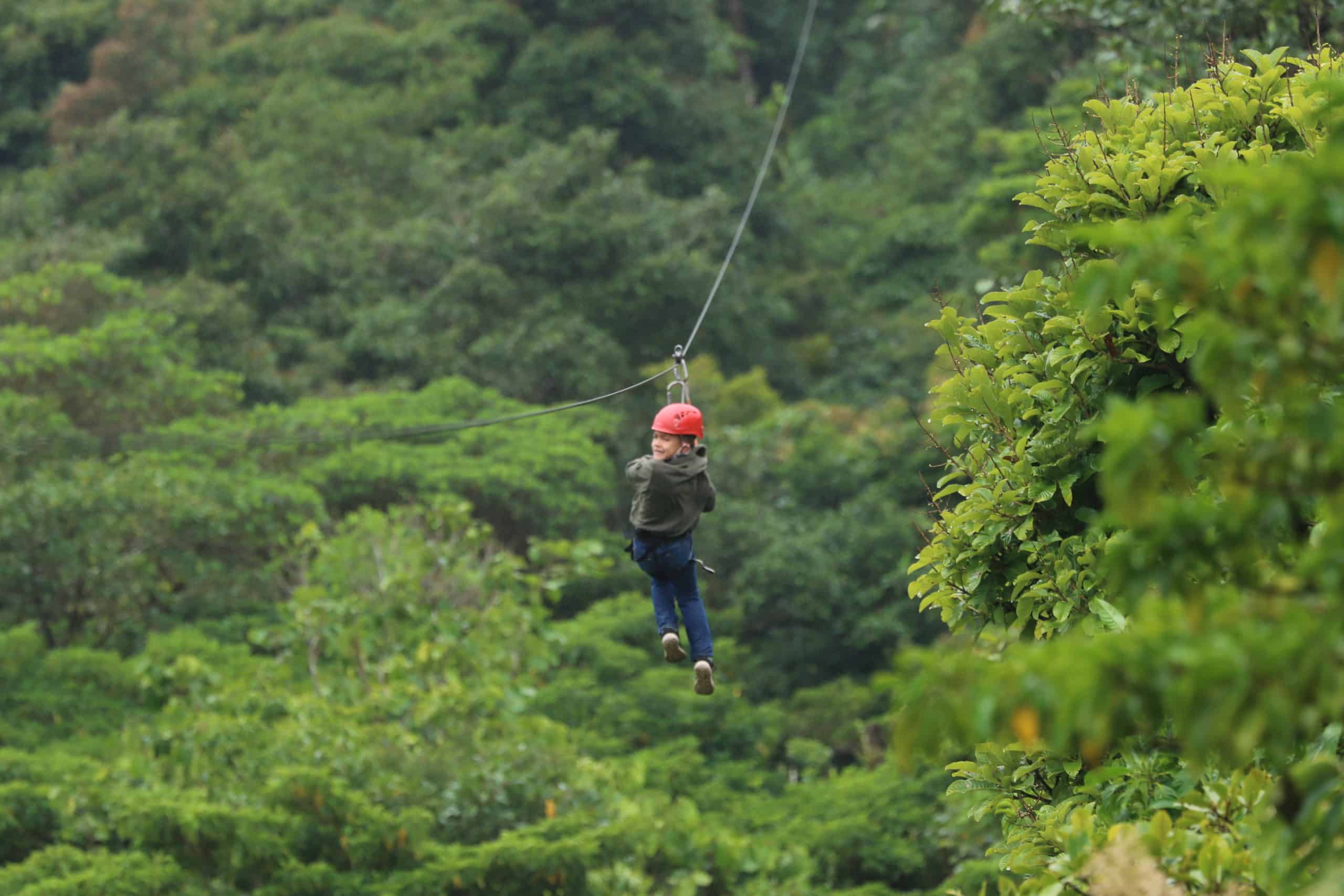 a man flying a kite in a forest