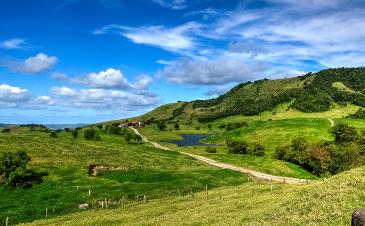 Best Time to Visit Monteverde