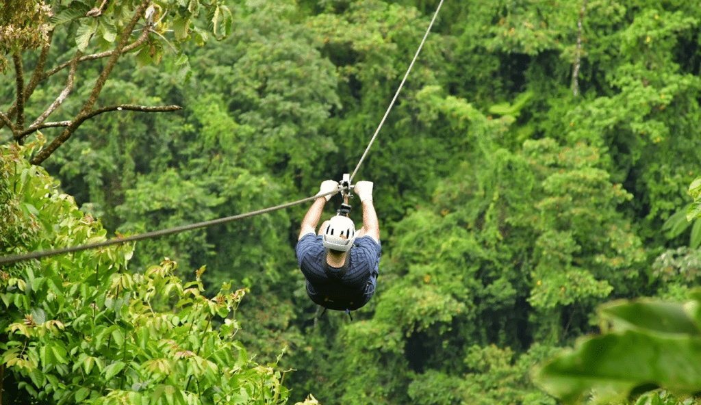 a person in a forest