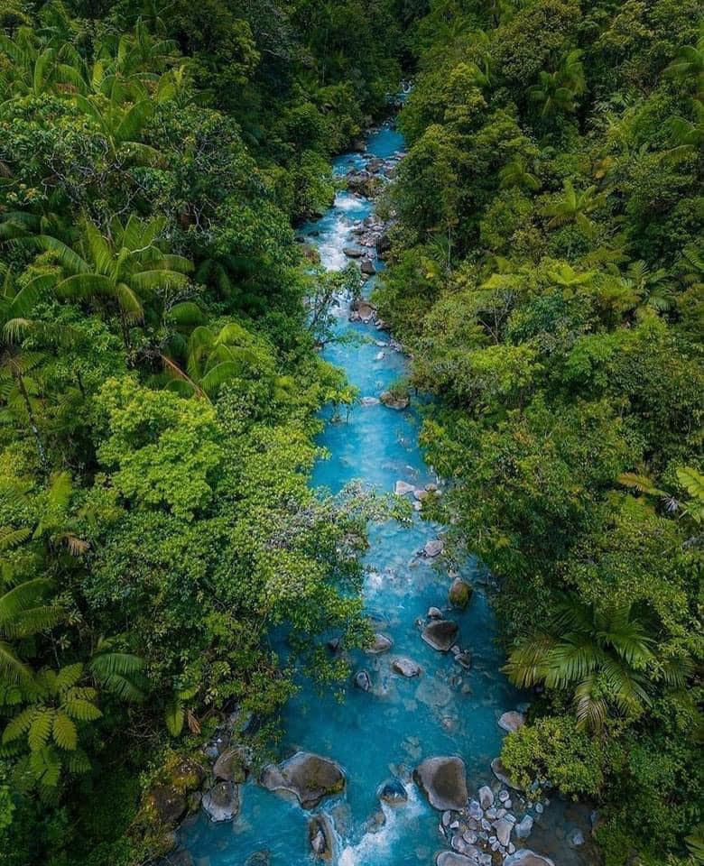 river in the middle of the forrest