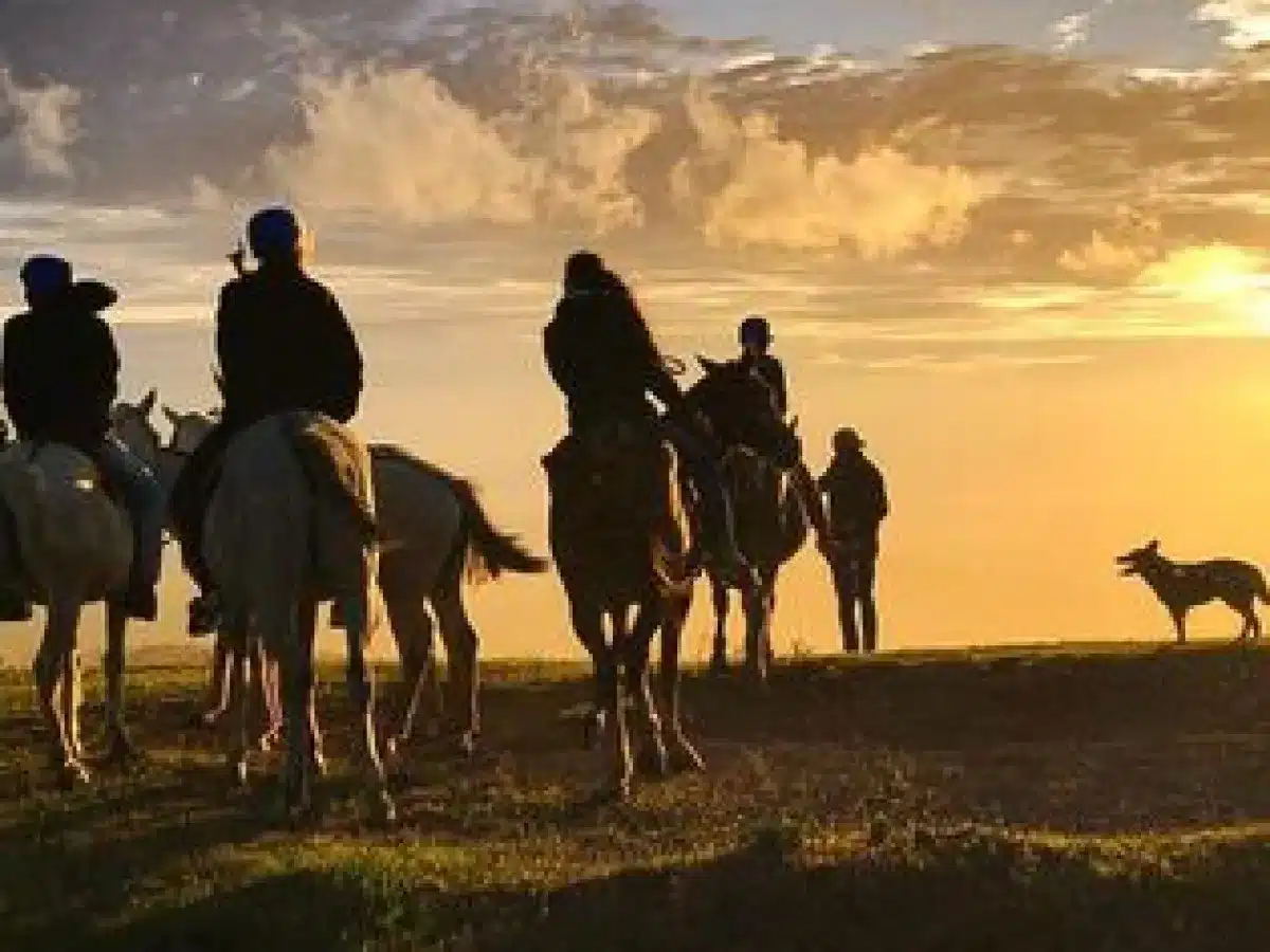 A group of tourists on Monteverde Horseback Riding.