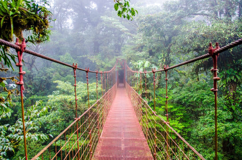 The Best Monteverde Hanging Bridges