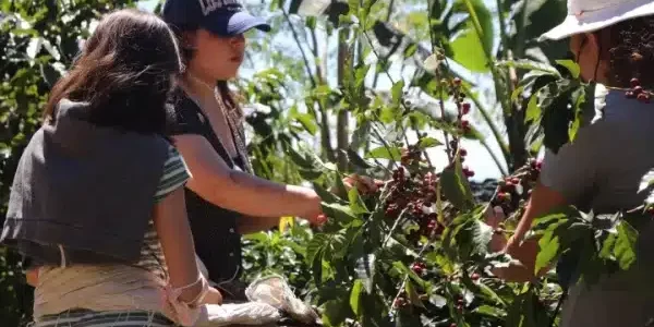 20220125232921_IMG_6788-r5k3uc2zmkq9fpzz47whvbc7m1glv5f88u002pliuk