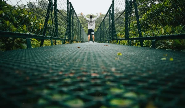 Selvatura Hanging Bridges