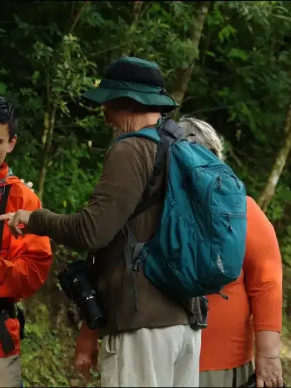 3-Hour-Monteverde-Bird-Watching-Tour