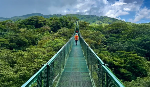 Selvatura Hanging Bridges