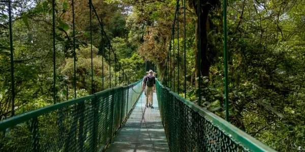 Selvatura Hanging Bridges