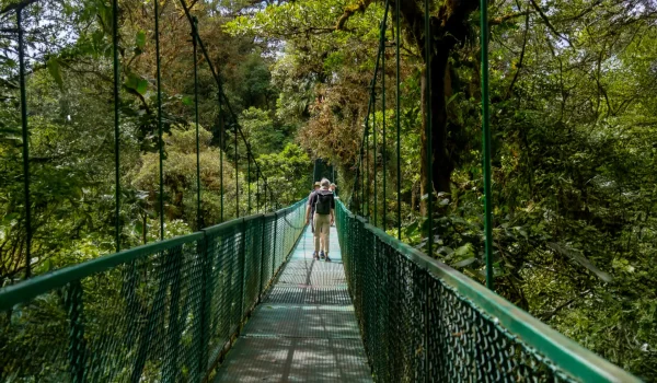 Selvatura Hanging Bridges