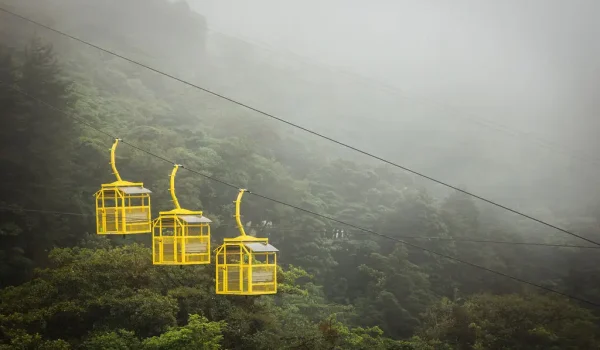 Tree Tram Treetopia Park