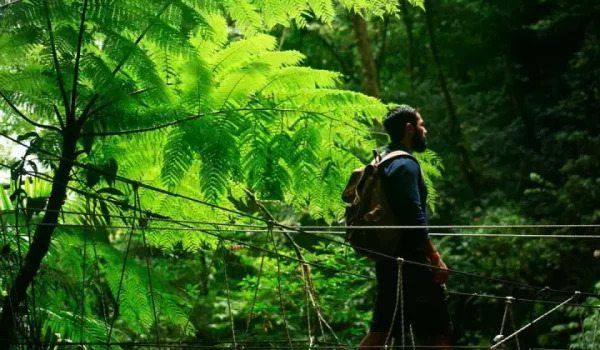 a group of people in a forest