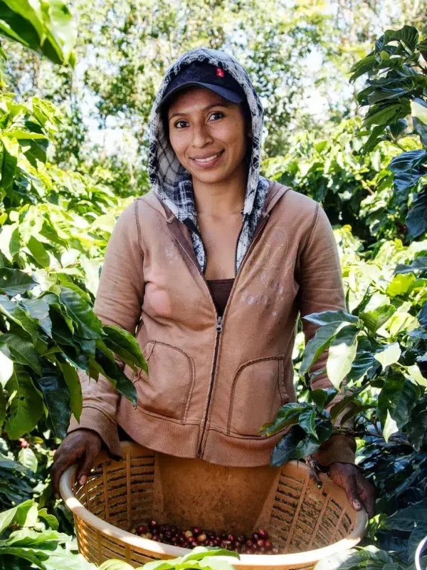 Best-Monteverde-Coffee-Tour