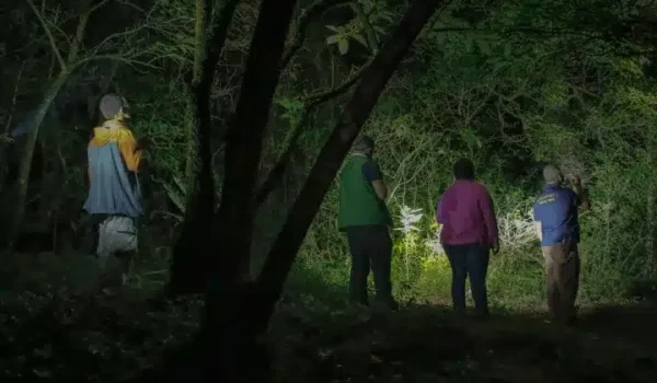 a group of people on a night tour in Monteverde, Costa Rica