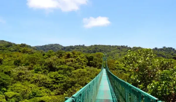 Hanging Bridge on a Clear Day in Monteverde