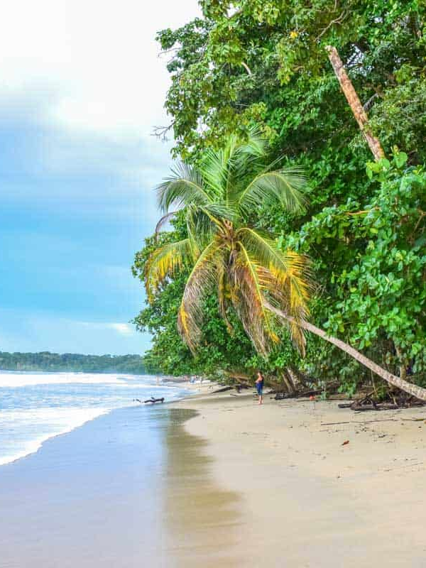 Cahuita National Park
