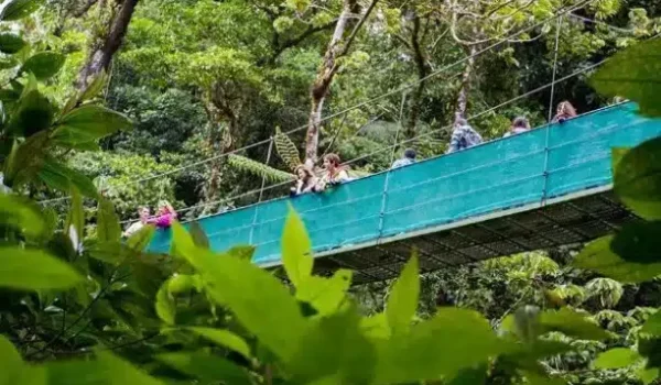 a close up of a hanging bridge at Sky Walk Monteverde