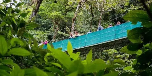 Canopy-Walkways-at-Sky-Adventures-Monteverde-image-1
