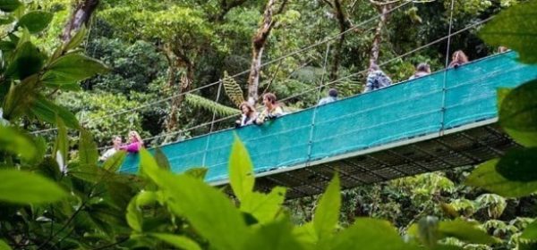 a close up of a hanging bridge at Sky Walk Monteverde