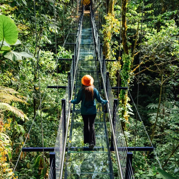 Sky Walk Glass Bridge