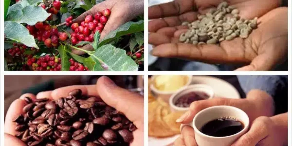 Don-Juan-Coffee-Tour-4