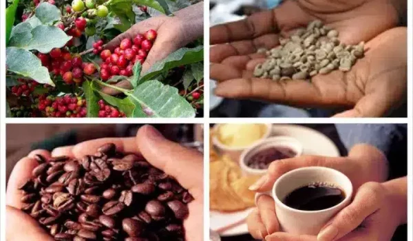 a bunch of different types of food