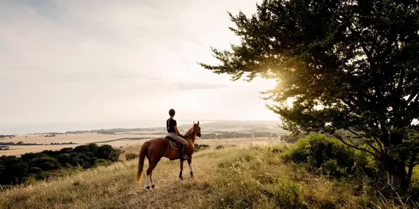 Extremo-Horseback-Riding-Tour (1)