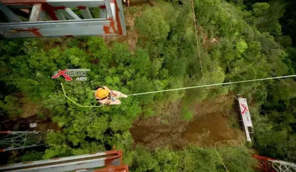 Extremo-Swing_07