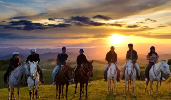 Monteverde Horseback Riding: Enjoy the Relaxed Cloud Forest Ride