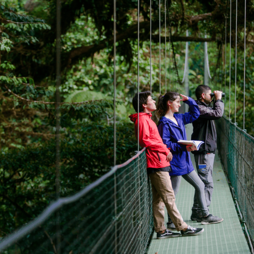 Hanging Bridges Monteverde 3