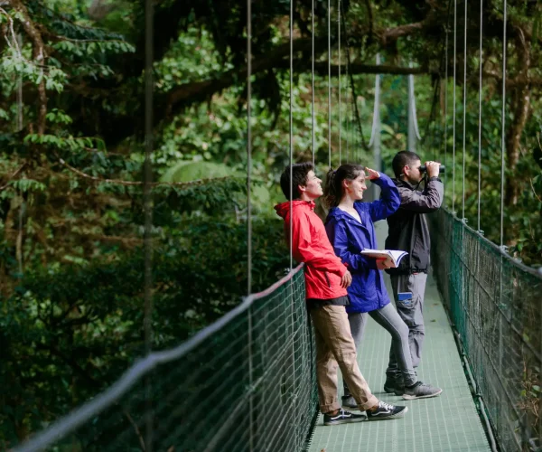 Hanging Bridges Monteverde 3
