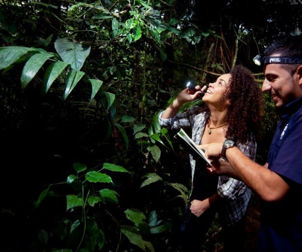 La Fortuna Night Tour