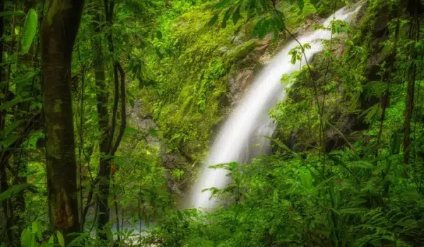 Waterfall Manuel Antonio park