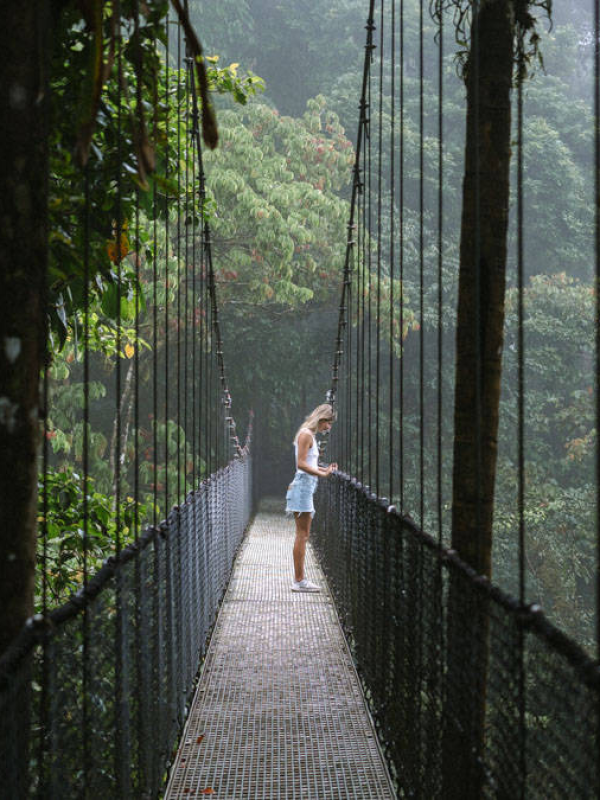 Mistico hanging Bridges 2