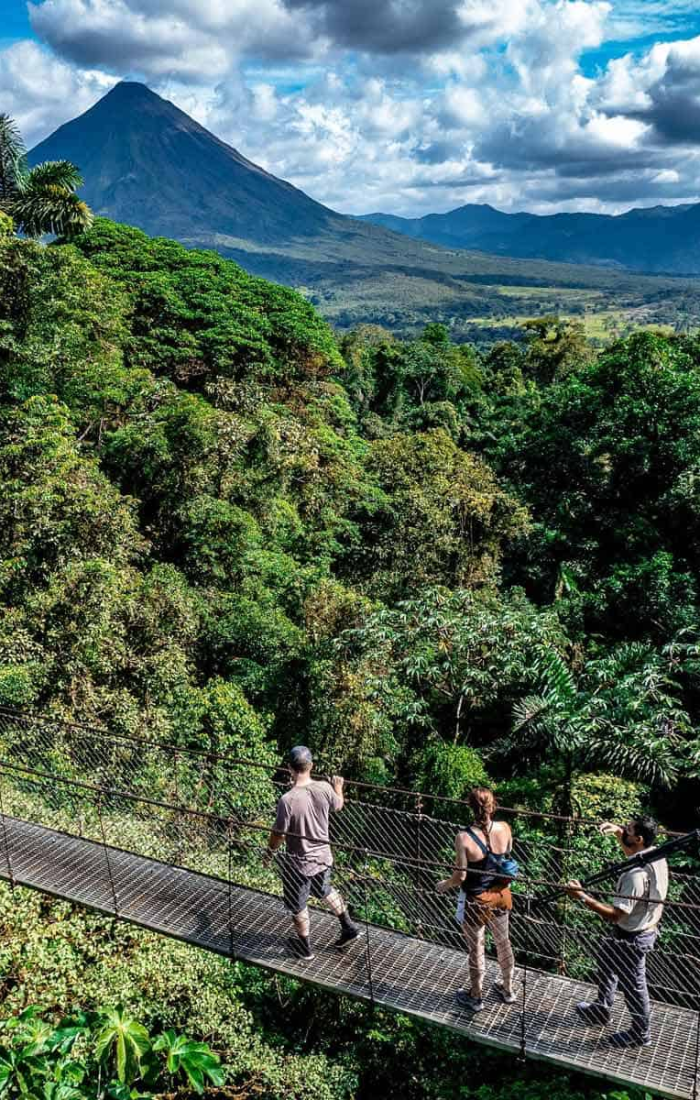 Mistico hanging bridges 5
