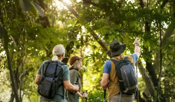 Monteverde Cloud Forest Tour