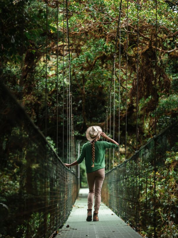 Tourist standing in the middle of the bridge