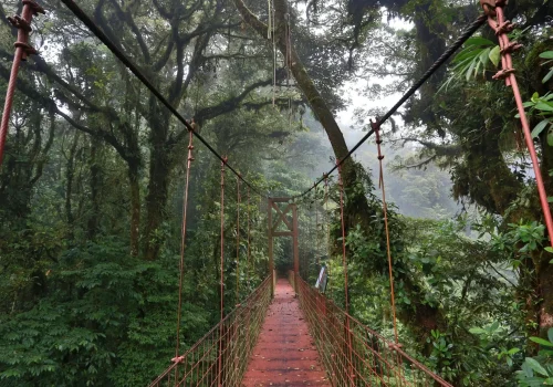 Monteverde Monteverde