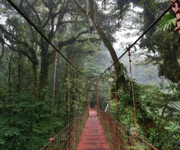 Monteverde