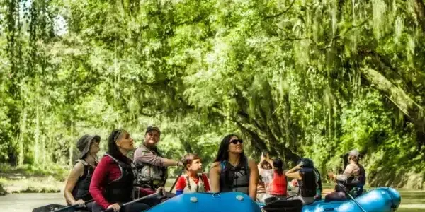 Safari-Float-Group-1-e1726771894559-r5k3ud0tterjrbylyqb4ft3o7fbz2uiykynhjzk4oc