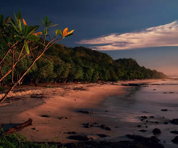 Santa Teresa