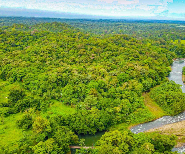 Sarapiquí, Alajuela