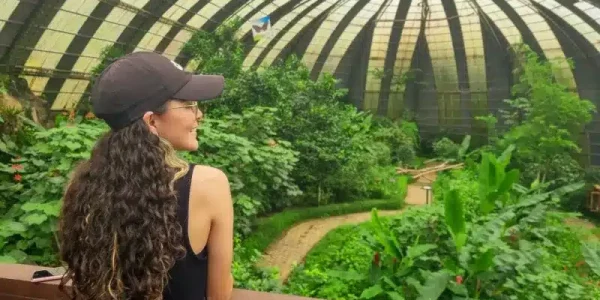 Selvatura-Butterfly-Garden