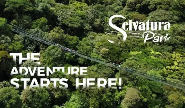 Aerial view of Selvatura Park in Monteverde Costa Rica