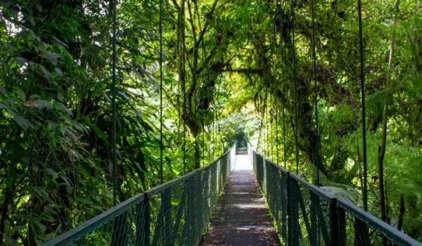 A bridge over a river in Selvatura Hanging Bridges