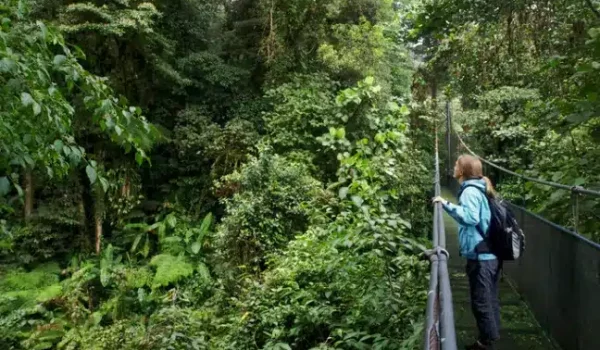 Monteverde Hanging Bridges: Skywalk Above The Cloud Forest