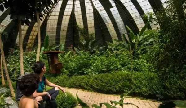 a group of people sitting on a bench in a garden