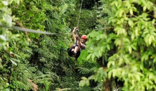 A person on a Selvatura Zip Line Through the Forest