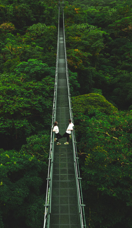 Selvatura park Hanging bridges