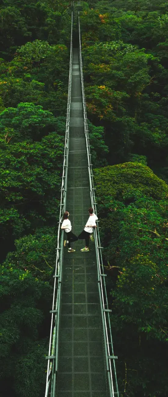 Selvatura park Hanging bridges